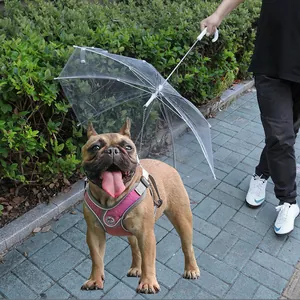 Parapluie transparent pour animaux avec laisse intégrée pour promenades sous la pluie