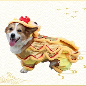 Festive yellow and gold lion dance dog costume on a Corgi for Chinese New Year