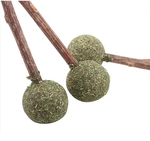 Dettaglio del lecca-lecca naturale all'erba gatta e bastoncino di silvervine per gatti.
