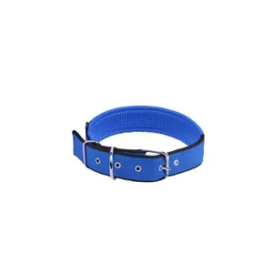 Detailansicht eines langlebigen blauen Nylon-Hundehalsbands mit stabiler Metallschnalle