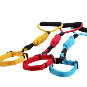 Set aus drei bunten elastischen Bungee-Hundeleinen mit Schaumstoffgriffen zur Dämpfung.