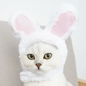 Nahaufnahme einer weißen Katze mit einem plüschigen rosa-weißen Hasenohren-Hut