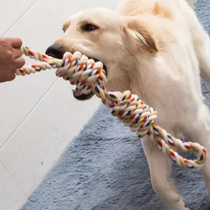 Golden Retriever speelt touwtrekken met een kleurrijk katoenen touwknoop hondenspeeltje