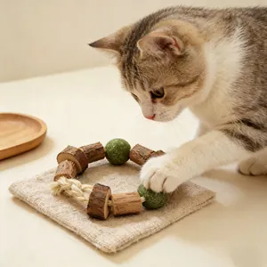 Detailansicht einer Katze, die mit einem Beißring aus Matatabi und Katzenminze spielt.