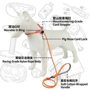 Adjustable nylon dog training P-rope leash with soft handle and heavy duty metal ring