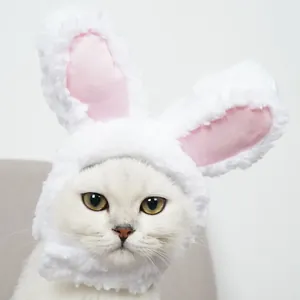 Detailansicht einer weißen Katze mit einem weichen weißen Kaninchenohr-Haustierhut