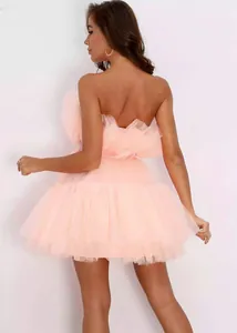 Back view of elegant pink strapless mesh tutu dress with delicate tiered ruffles