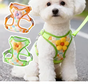 Harnais floral réglable et respirant porté par un petit chien blanc à l'extérieur
