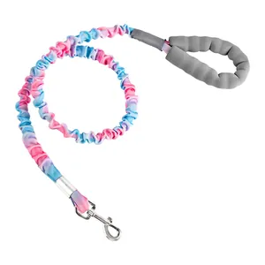 Shock-absorbing bungee dog leash with colorful gradient design and soft padded handle