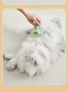 Soft green pet slicker brush grooming a fluffy long-haired white cat on a cozy carpet