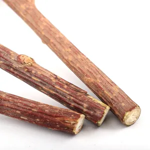 Bastoncini naturali di silvervine per la pulizia dentale dei gatti su sfondo bianco