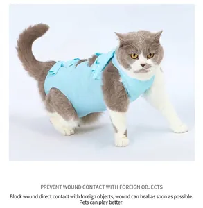 Close-up of a cat wearing a breathable blue recovery suit for post-surgery healing