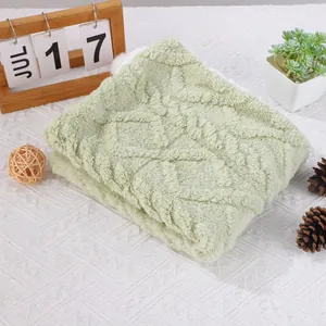 Λεπτομέρεια της μαλακής υφής fleece και του πάχους της πράσινης κουβέρτας