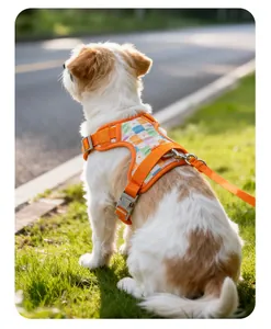 Vue détaillée d'un harnais pour chien réglable à carreaux orange avec sa laisse