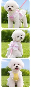 Dettaglio degli abiti pettorina per cani in rosa e giallo con ali di pizzo per animali.