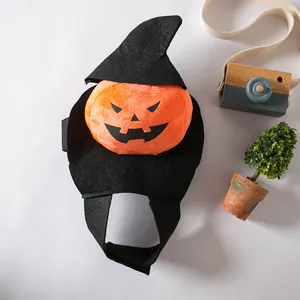 Detailansicht des kreativen Kürbis-Halloween-Kostüms für kleine Haustiere