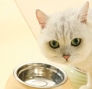 Détail en gros plan d'une gamelle inclinée en acier inoxydable avec un joli chat