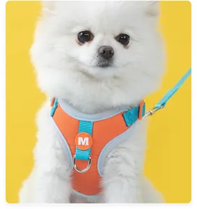 Detaillierte Ansicht eines verstellbaren orange-blauen Haustiergeschirrs am Hund.