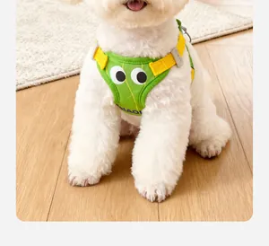 Détail d'un harnais respirant vert pour chien avec yeux de dessin animé sur un caniche blanc