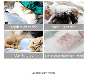 Cat recovery suit application scenarios including sterilization and post-surgery care