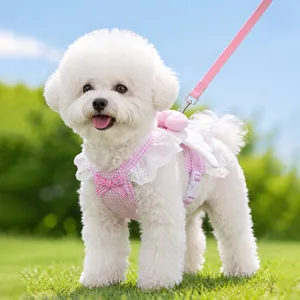 Simpatica pettorina per cani a quadretti rosa con ali per cuccioli durante la passeggiata