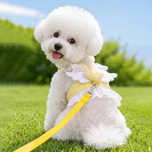Pettorina a vestito per cani a quadretti gialli con ali d'angelo e guinzaglio set