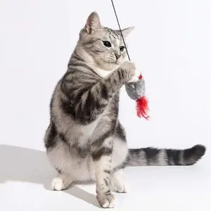 Gatto soriano grigio che gioca con un topo giocattolo di peluche con piume rosse