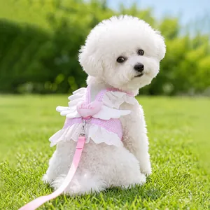 Pettorina a vestito rosa per cani con ali d'angelo e guinzaglio abbinato sull'erba