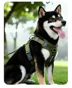 Nahaufnahme eines grünen, atmungsaktiven Hundegeschirrs, getragen von einem Shiba Inu im Park.