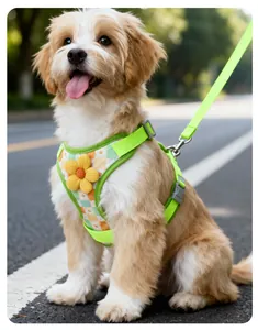 Harnais pour chien à carreaux verts réglable avec fleur jaune et laisse assortie set