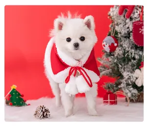 Close-up of a white dog wearing a festive red Christmas pet cape with white fur trim.