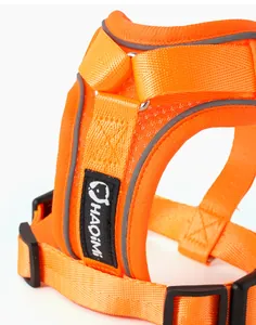 Nahaufnahme des orangefarbenen, atmungsaktiven Hundegeschirrs mit Markenaufnäher.