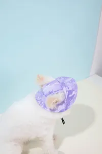 Dichtbij van een kleine witte hond met een paarse tie-dye zonnehoed voor huisdieren