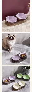 Ensemble de gamelles doubles surélevées pour chats avec support transparent et couleurs