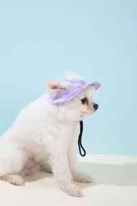 Detailweergave van een paarse zonnehoed met oorgaten voor kleine witte honden in studio.