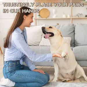 Perro poniendo su pata en la mano de su dueño para mostrar su total confianza hoy
