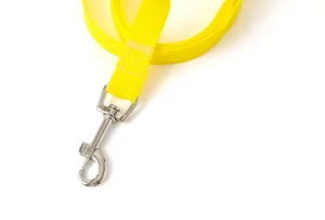 Vue détaillée d'une laisse pour chien en nylon jaune durable avec un mousqueton en métal argenté.