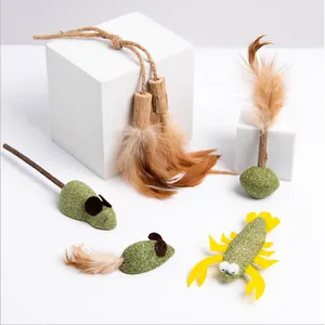 Natural catnip cat toys set with matatabi sticks and feathers for dental cleaning