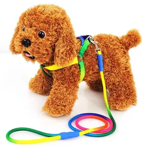 Laisse et Harnais en Nylon Dégradé Arc-en-ciel Ensemble de Corde de Traction Réglable pour Petits Chiens Teddy Extérieur