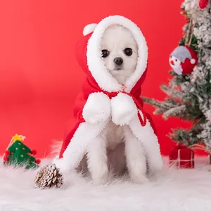 Cute dog in red and white Christmas hooded cloak cape, warm winter pet holiday costume