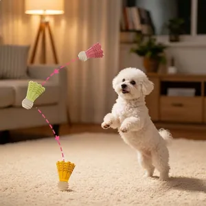 Jouet couineur durable en forme de volant pour petits chiens comme le Bichon Frisé