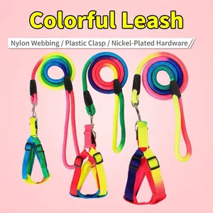 Harnais et laisse pour chien arc-en-ciel avec corde en nylon pour petits animaux