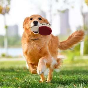 Jouet à mâcher sonore pour chien présenté avec un Golden Retriever dans un parc