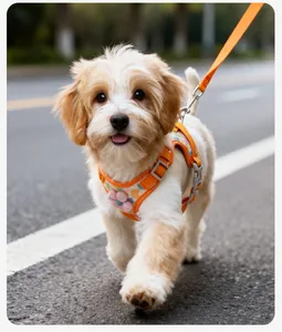 Détail d'un harnais pour chien orange respirant avec breloque florale sur un chiot