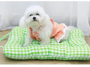 Detailansicht eines weißen Bichon-Welpen in einem orange karierten Hunde-Spitzenkleid