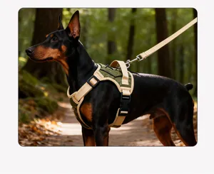 Profil latéral d'un harnais tactique pour chien durable avec laisse en forêt naturelle.