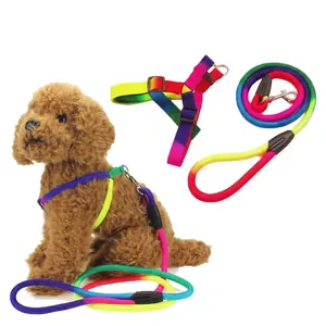 Harnais et laisse arc-en-ciel durables pour petits chiens et chiots, ensemble complet