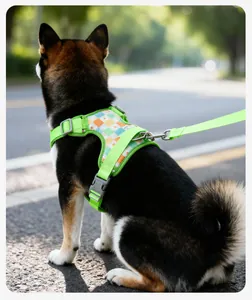Vue arrière détaillée d'un Shiba Inu portant un harnais pour chien vert à carreaux