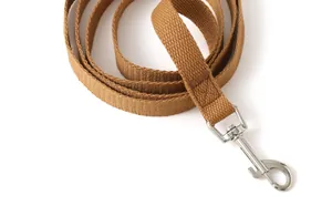 Close-up of durable brown woven pet leash with heavy-duty silver metal swivel clasp