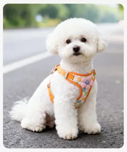 Harnais respirant à carreaux avec fleur pour petit chien porté par un Bichon blanc